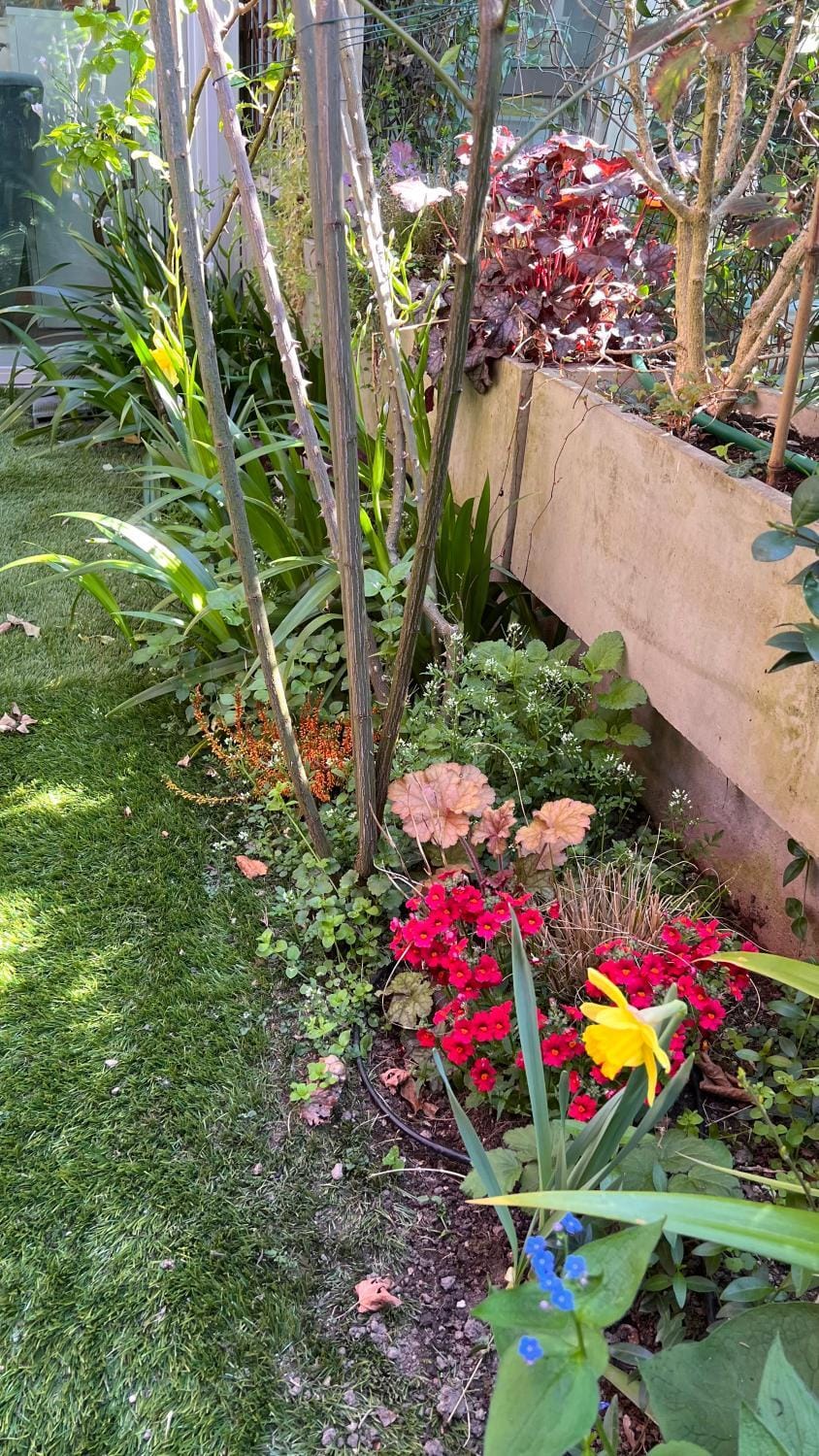 Garden Suite Apartment in Bolzano