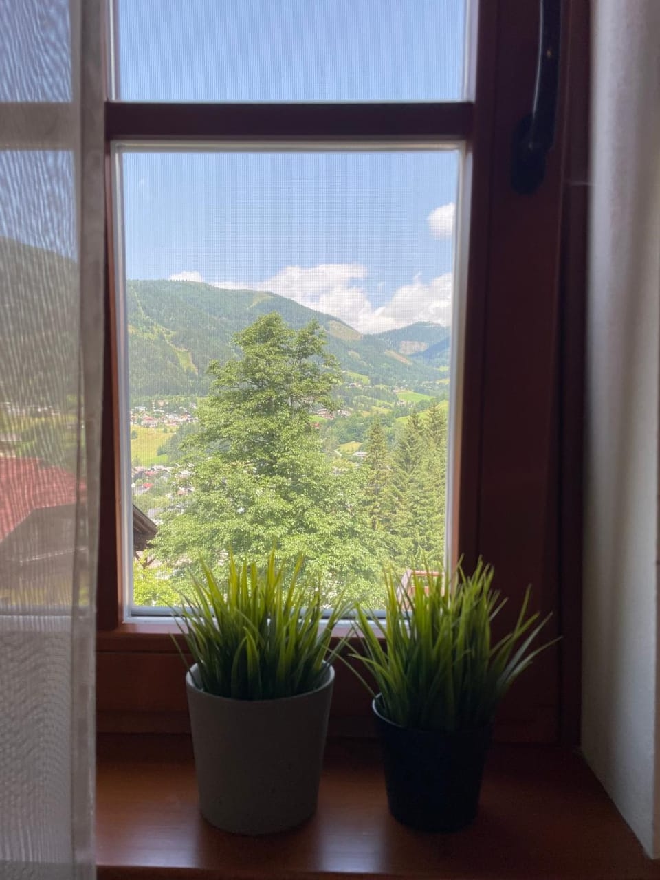 Mountain view