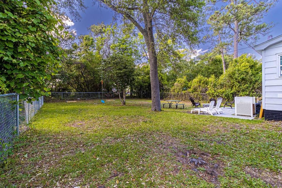 Patio, Natural landscape, Garden