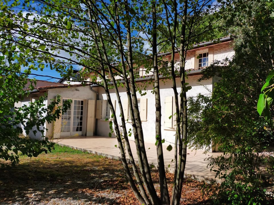 Property building, Garden, Garden view