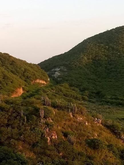 Mountain view