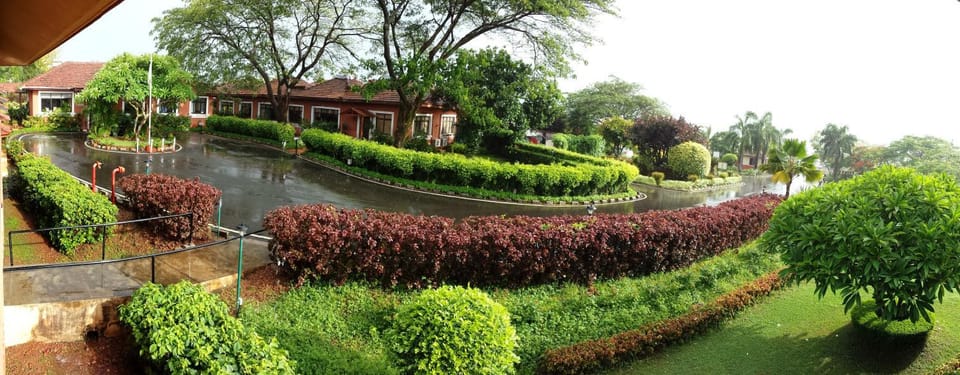 Natural landscape, Garden, Garden view