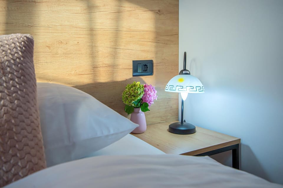 Apartment & rooms Vila Toplissa Apartment in Slovenia