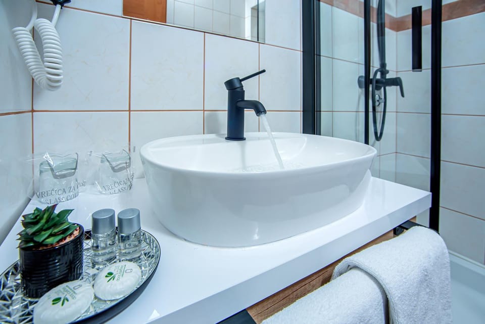 Apartment & rooms Vila Toplissa Apartment in Slovenia