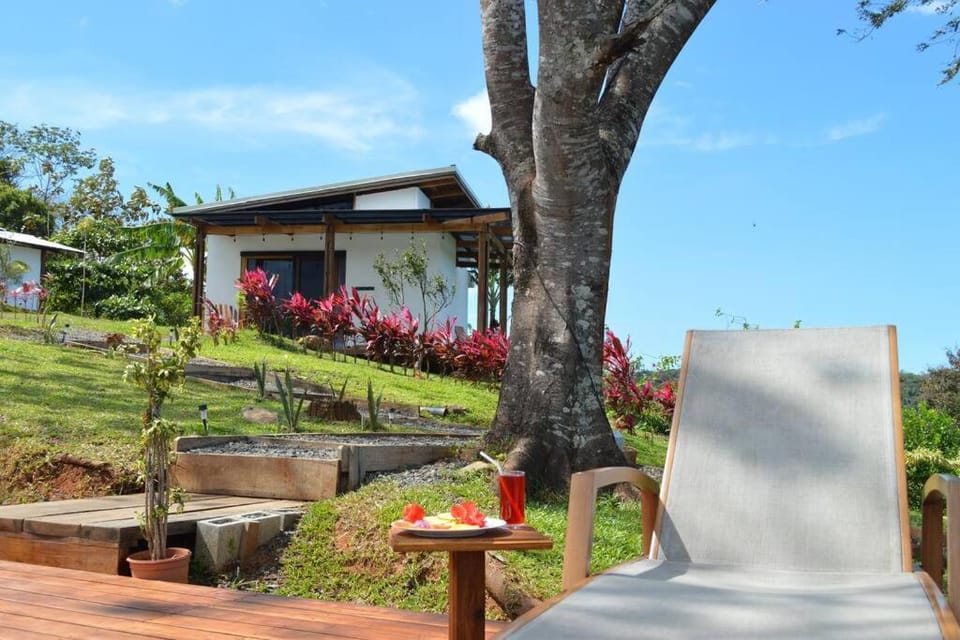 Property building, Garden view