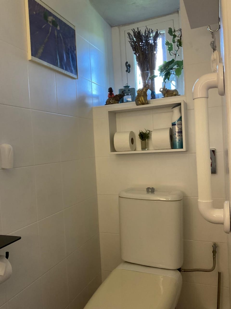Toilet, Bathroom