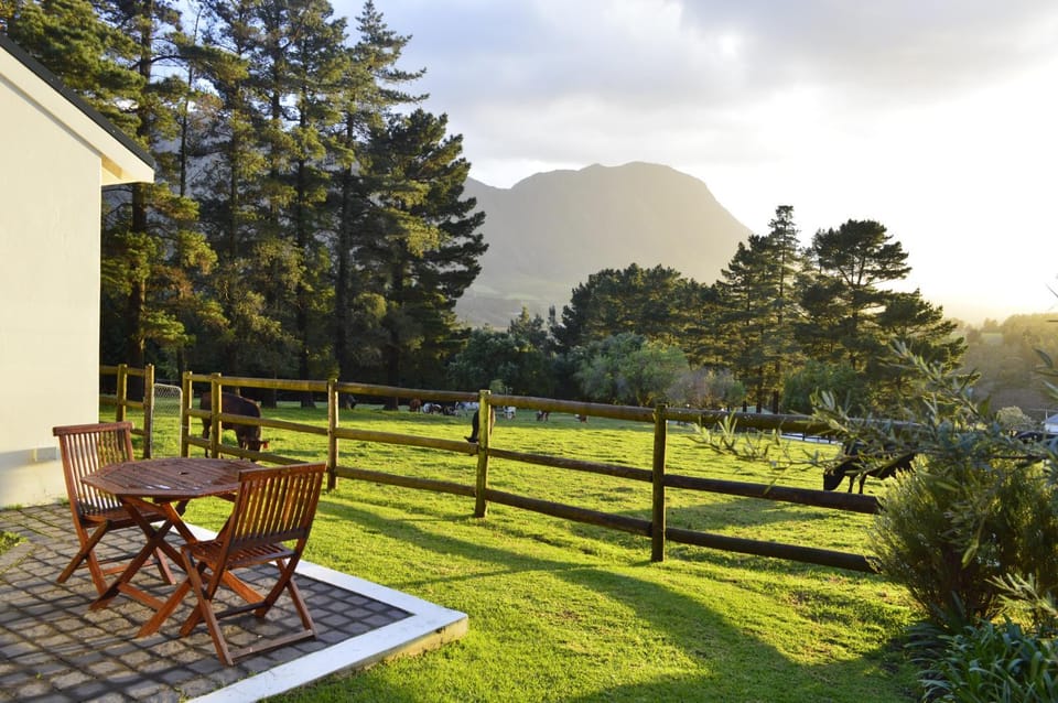 Garden, Garden view, Mountain view