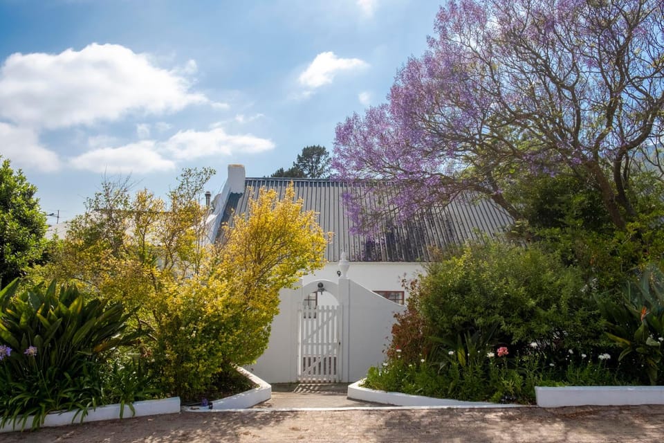 Property building, Garden view