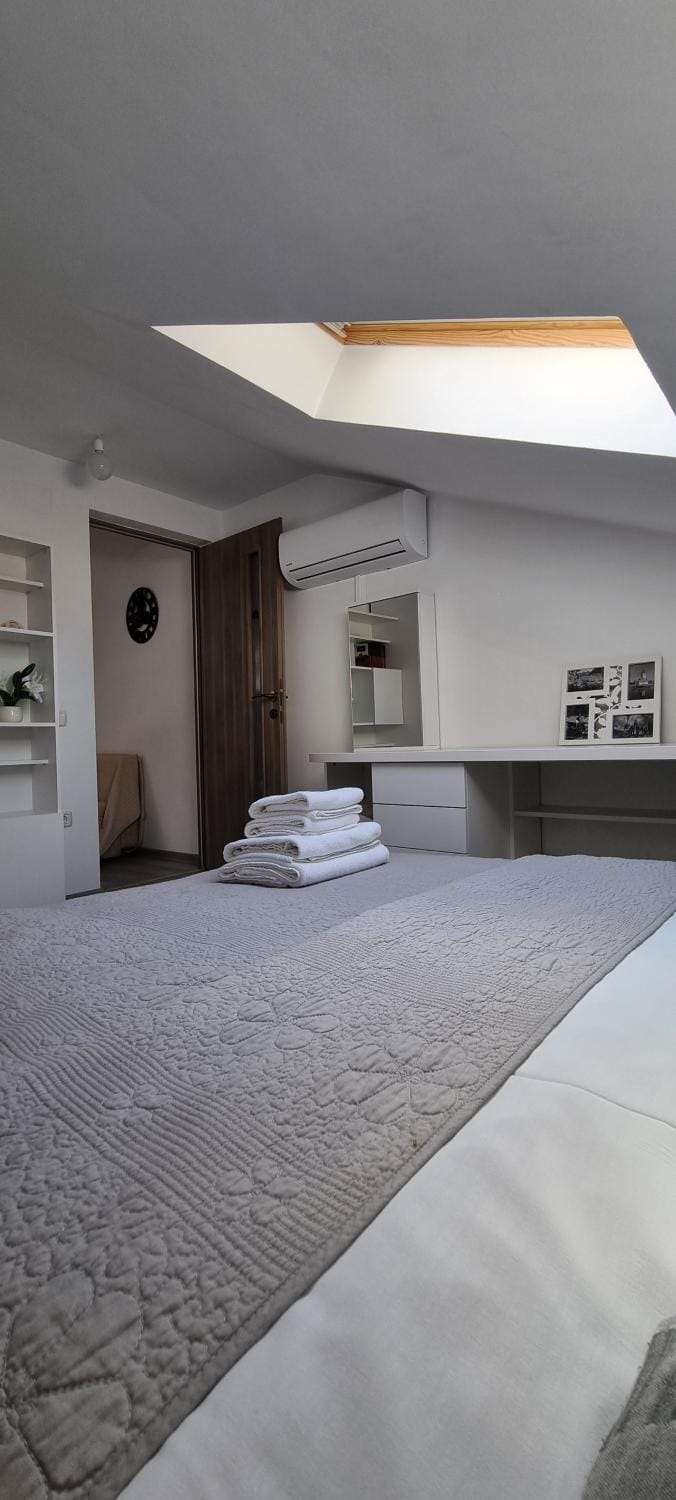 Downtown Premium Villa in Brasov