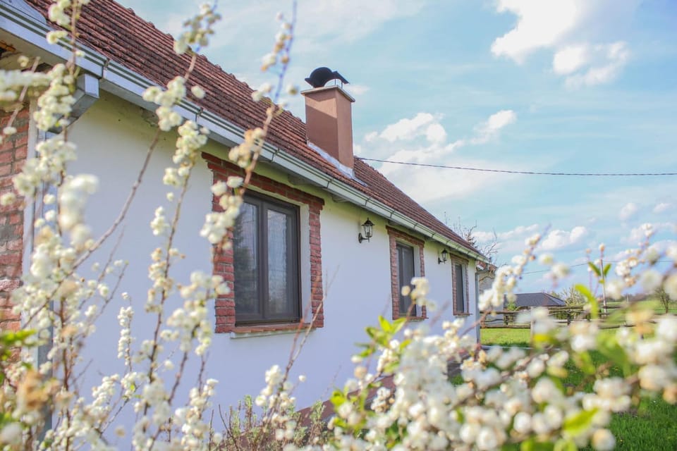 Kuca za odmor Noel House in Croatia