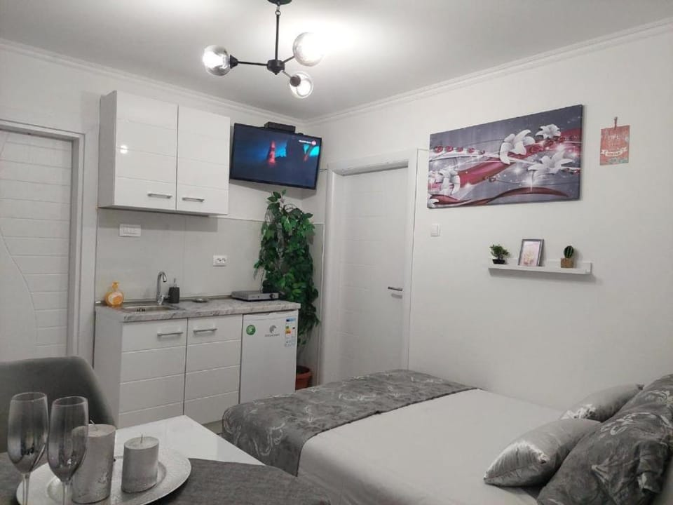 Bed, TV and multimedia, Kitchen or kitchenette, Photo of the whole room, Bedroom