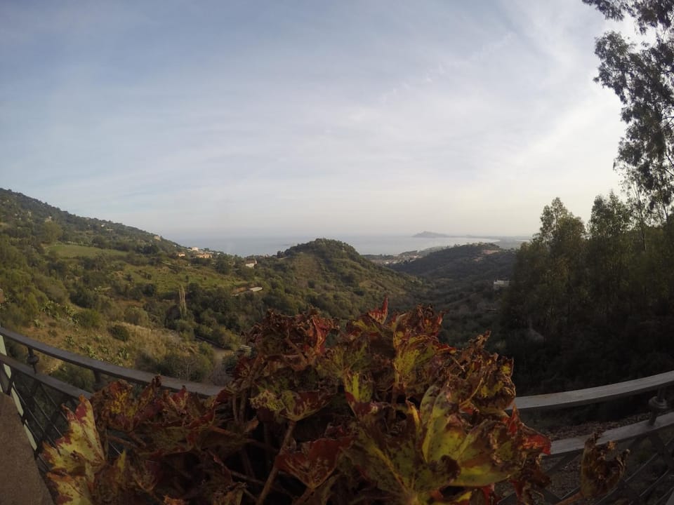 Garden view, Sea view