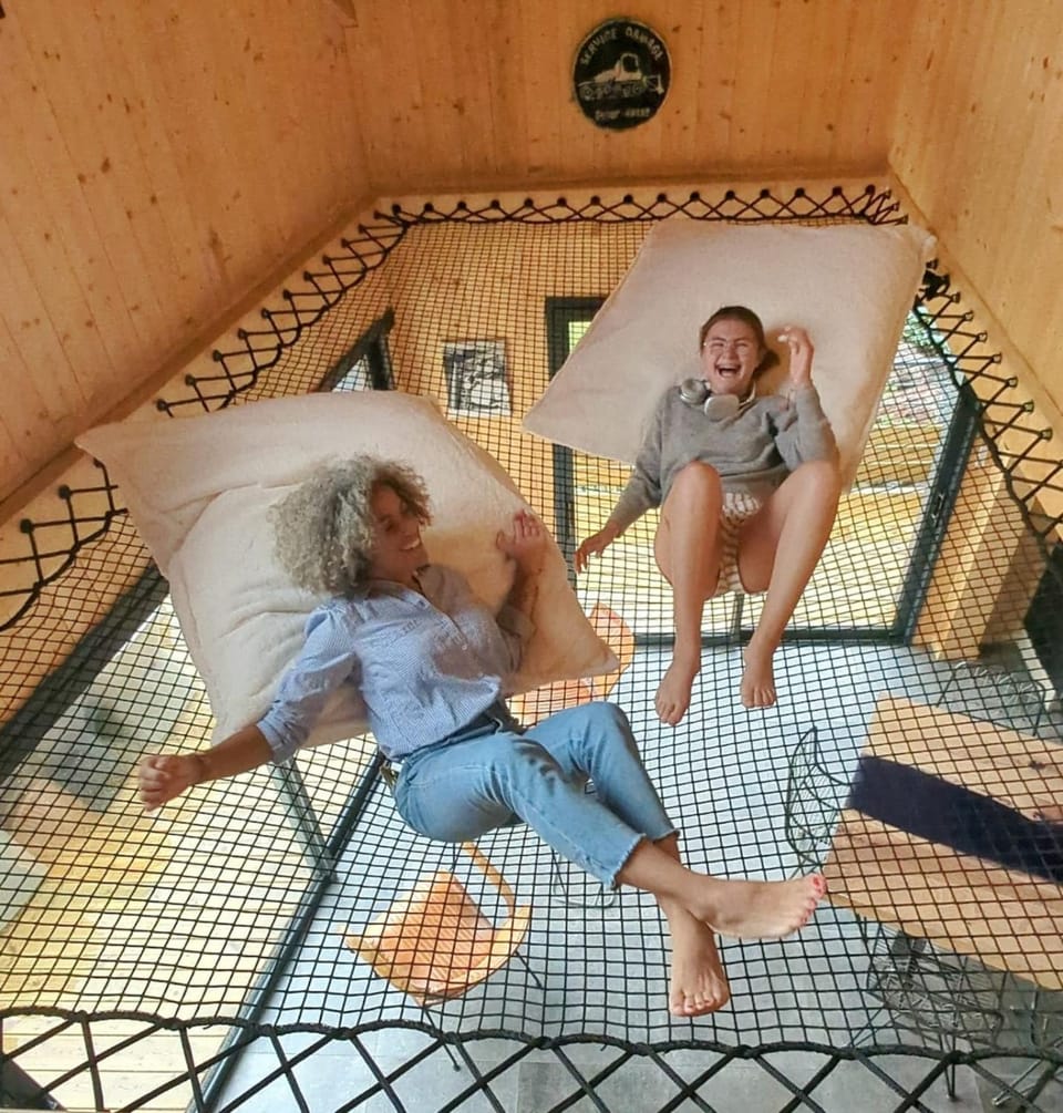 People, Seating area, group of guests