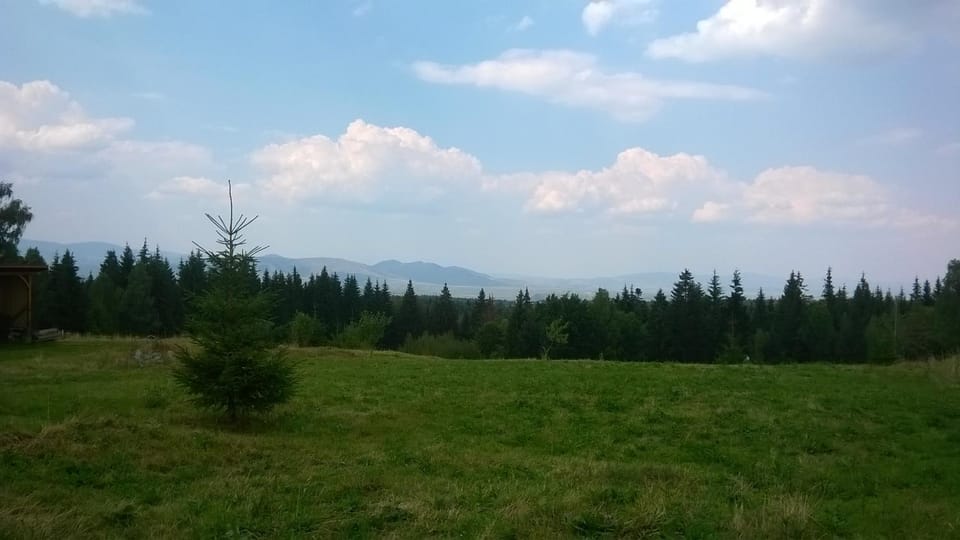 Pensiunea Dealu Negru 17B House in Cluj County