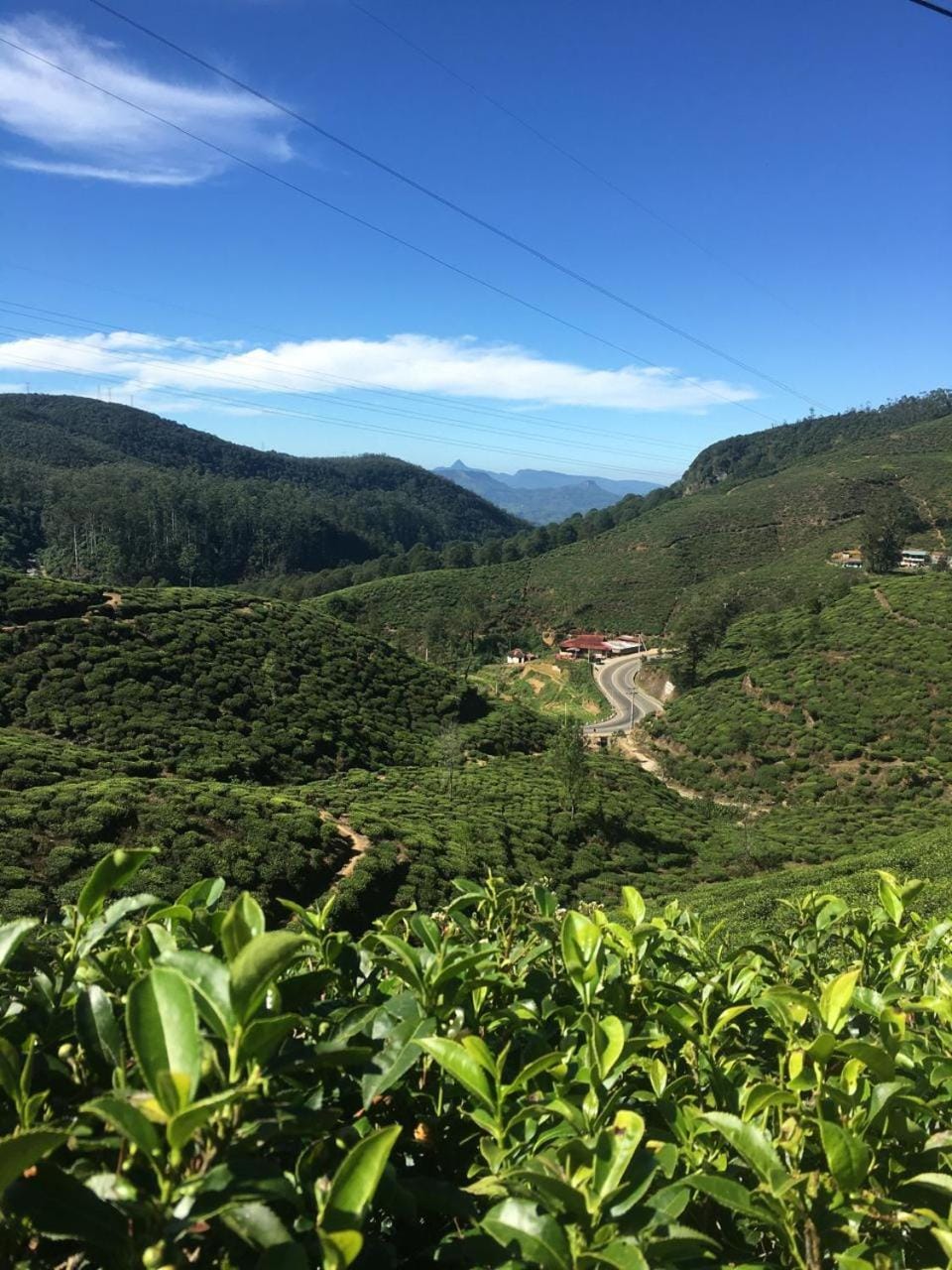 Methmi Rest Bed and Breakfast in Nuwara Eliya