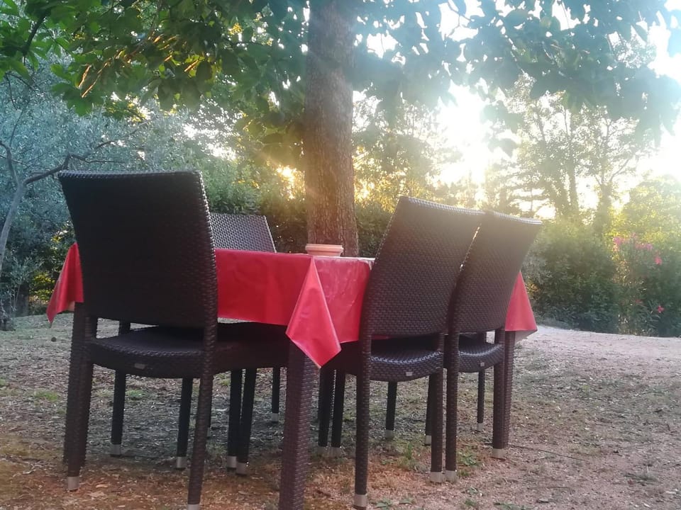 Garden, Garden, Garden view