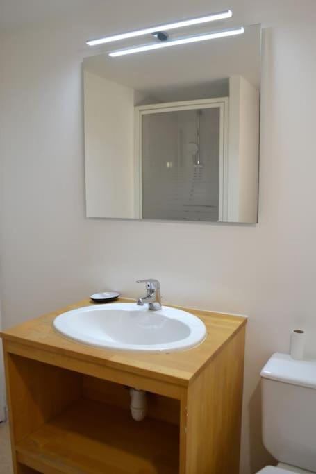 Le Cocon Filaterie Apartment in Annecy