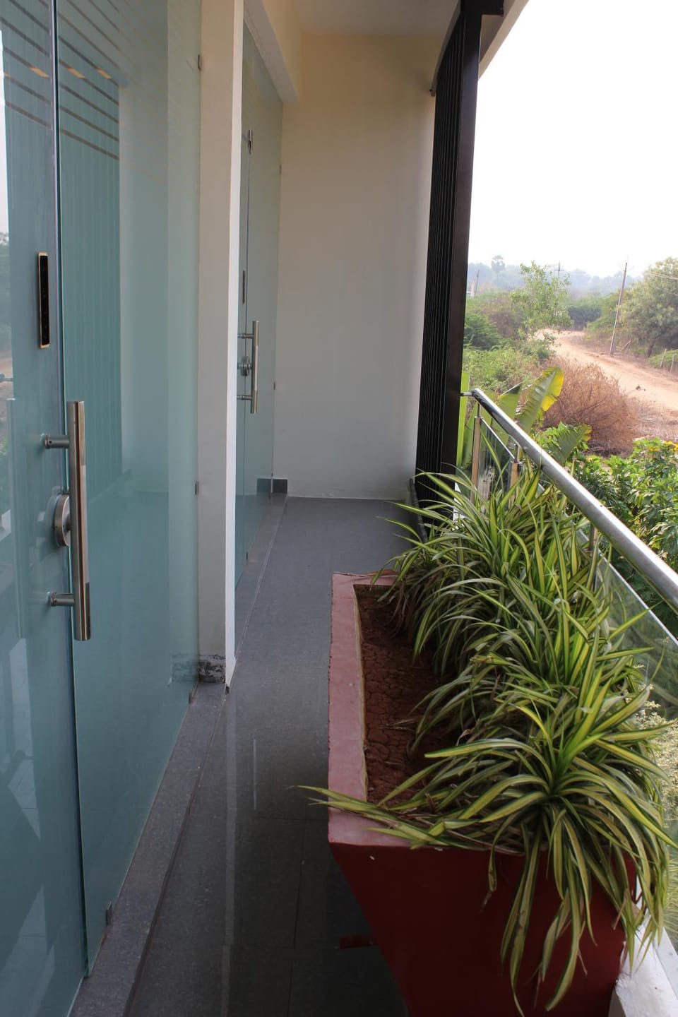 Garden view