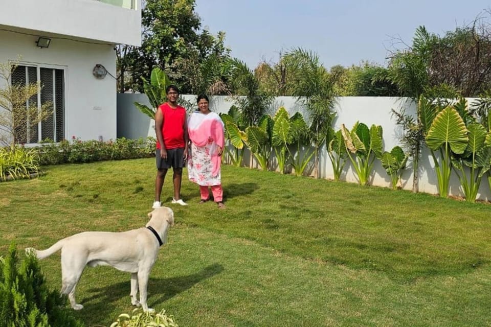 Garden, Pets, group of guests