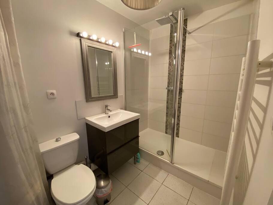 BLAGNAC hyper centre T2 Apartment in Toulouse