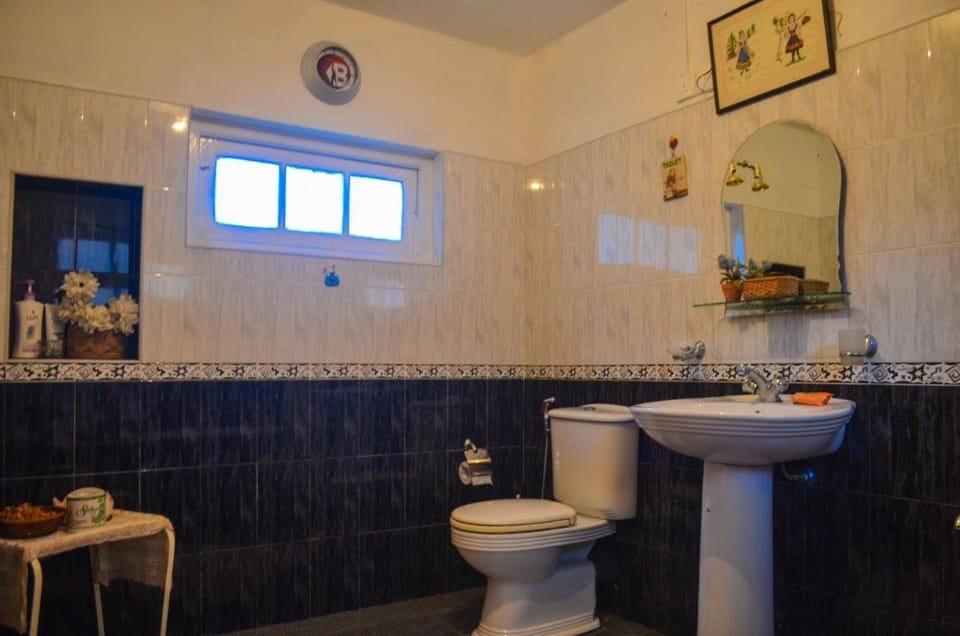 Shower, Toilet, Bathroom, Bath, bidet
