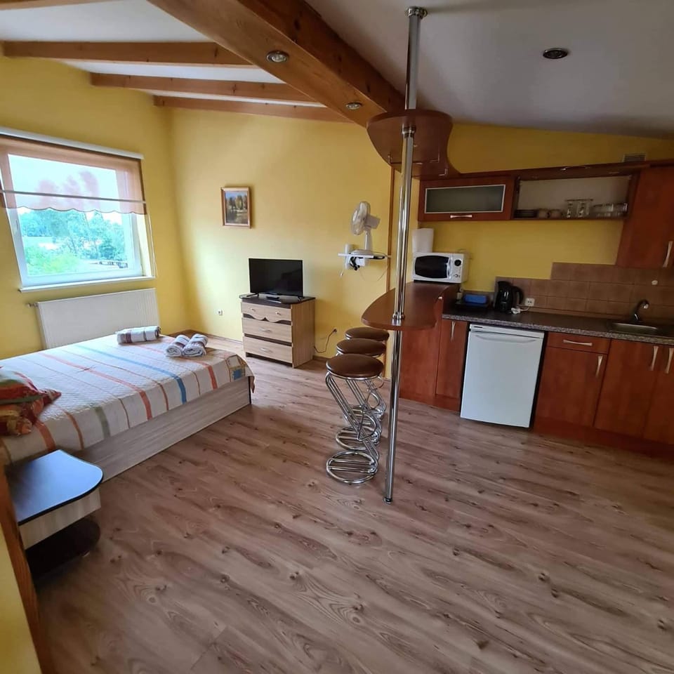 Bed, Kitchen or kitchenette, Photo of the whole room, Bedroom, minibar, stove