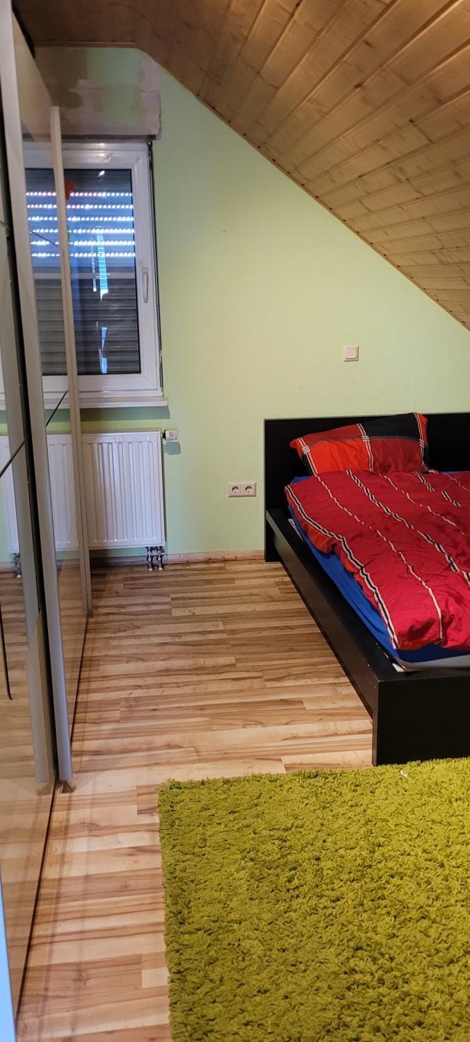 Selzen House in Mainz-Bingen