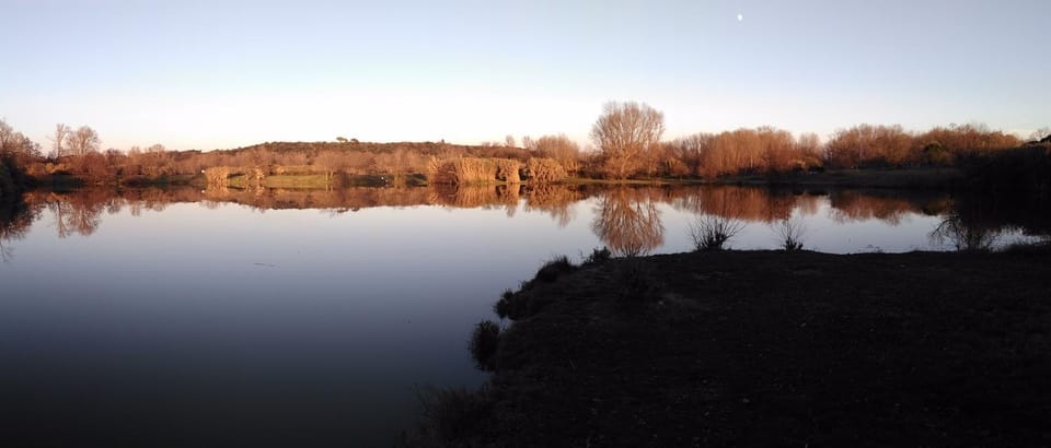 Lake view