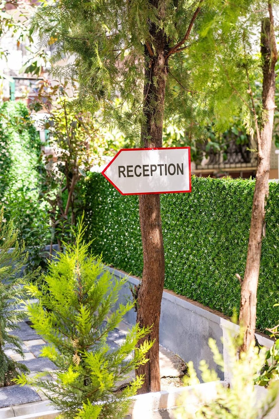 Day, Garden, Garden view