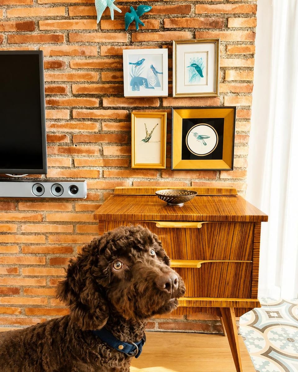 Communal lounge/ TV room, TV and multimedia, Evening entertainment