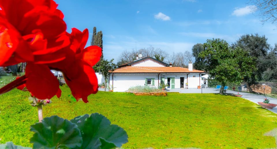 Property building, Garden view