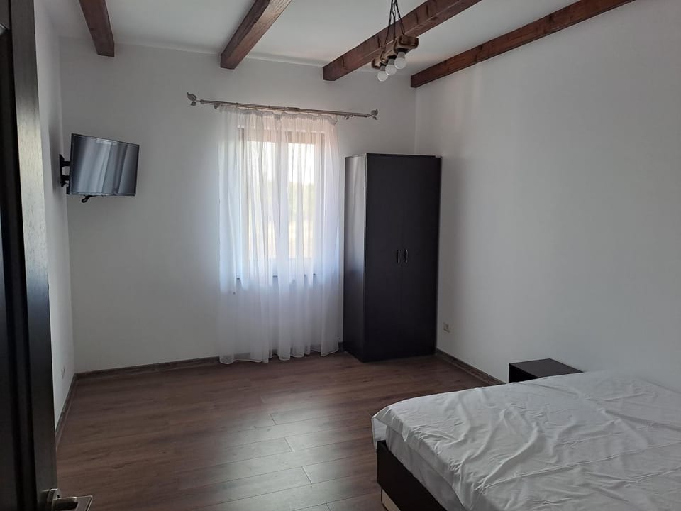 Pensiunea La Conac Bed and Breakfast in Moldova
