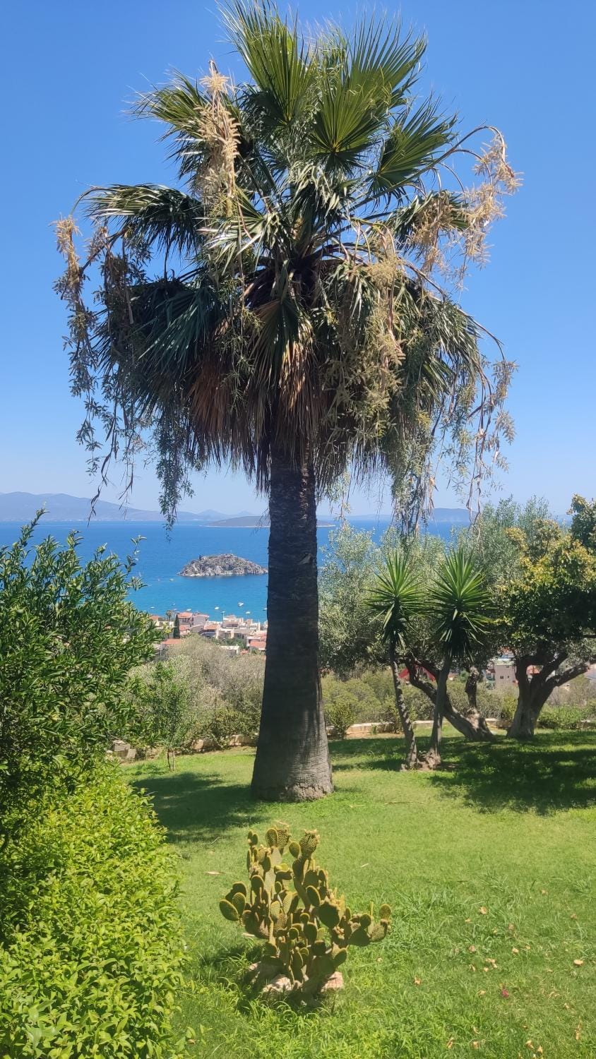 ANTIKa 6 Bed and Breakfast in Peloponnese Region