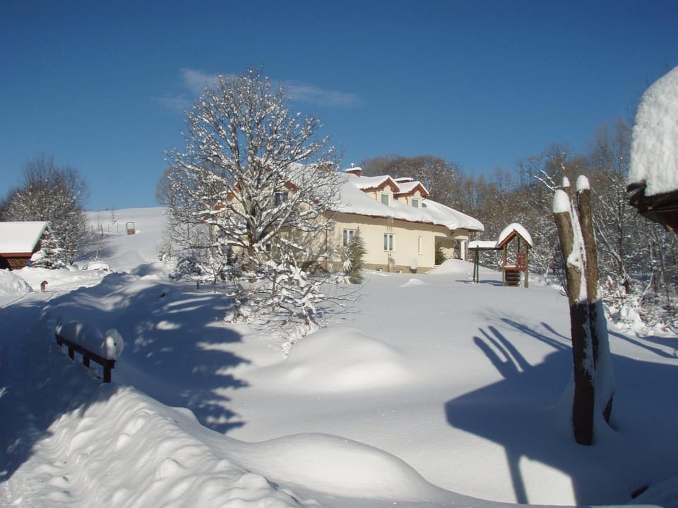 Property building, Winter