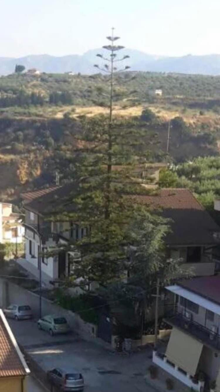 Ribera villa alloggio 1 Apartment in Sicily