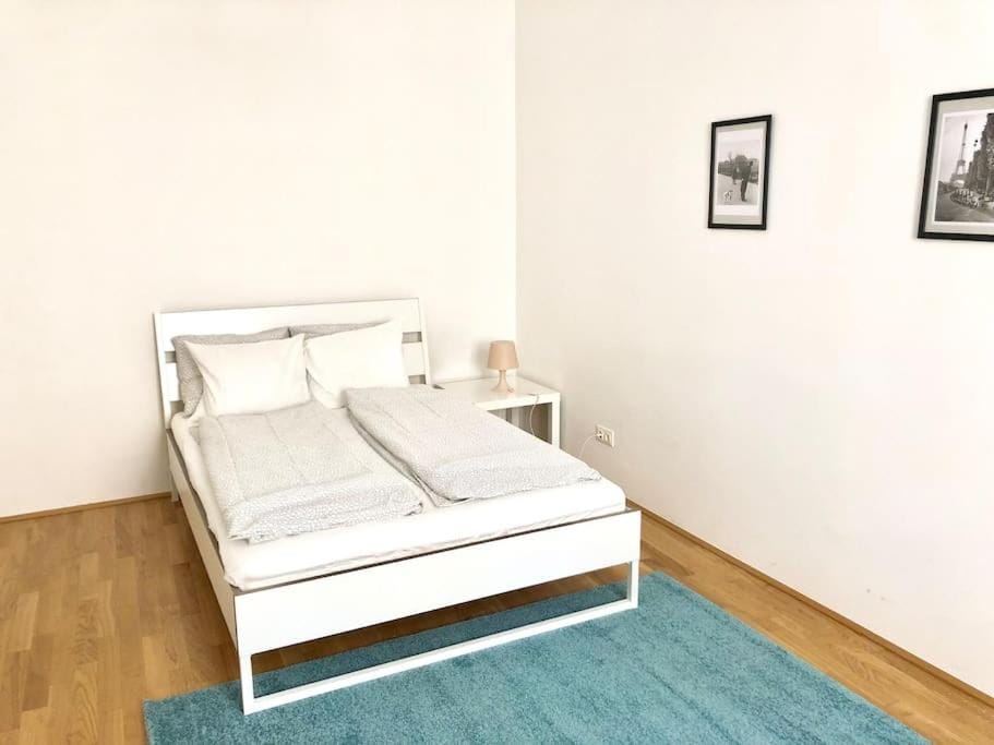 City Centre - Best location, big & new 110 m2 apt Apartment in Vienna