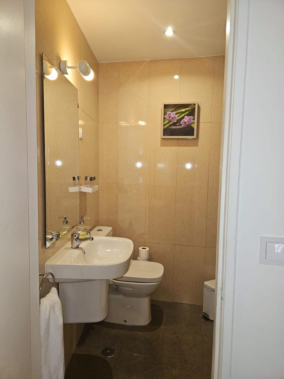 Toilet, Bathroom, Bath