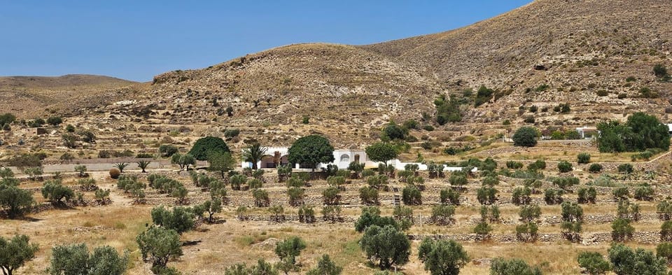 Níjar has been described as one of the most picturesque towns in the whole of Spain. A visit to Níjar guarantees the traveller a flavour of the ‘real’ Andalusia without the need to overspend on the trip. House in Comarca Metropolitana de Almería