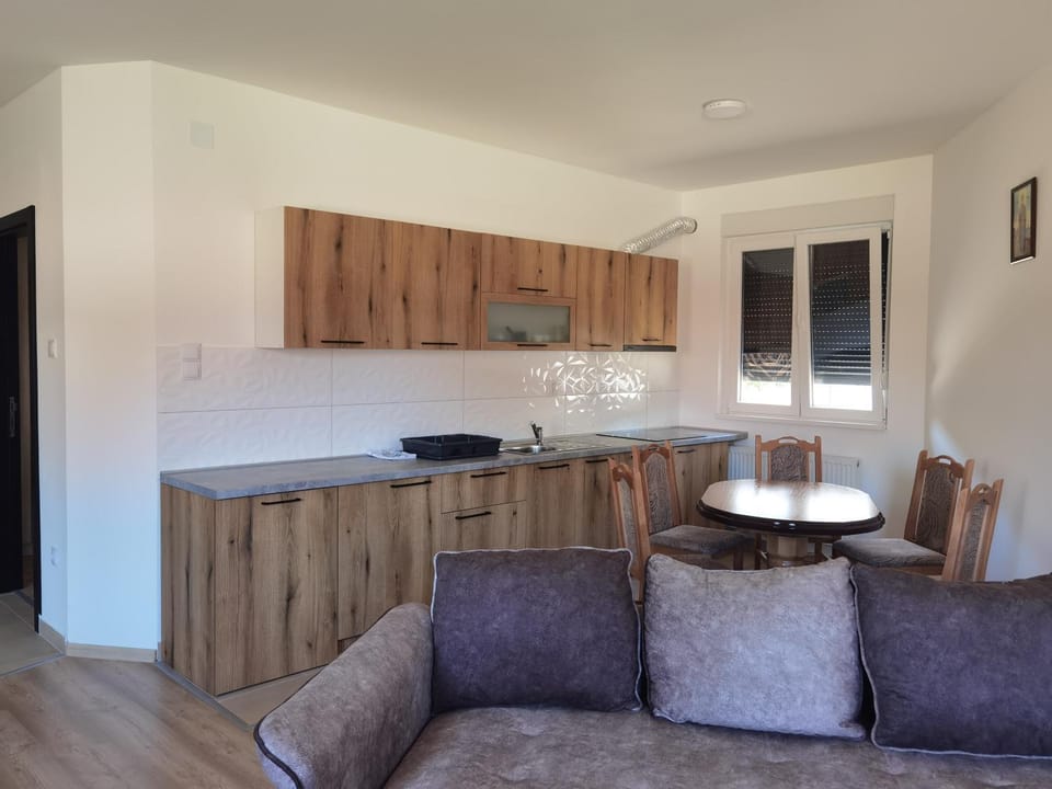 Apartman Romansa Banja Koviljaca Apartment in Serbia