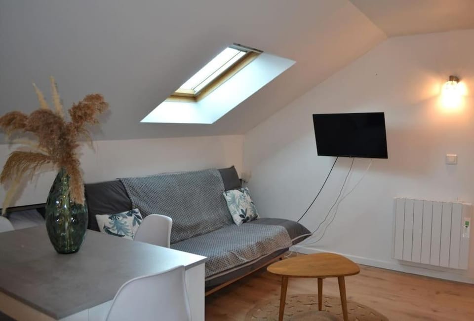 Appartement Le Filaterie sous les toits Apartment in Annecy
