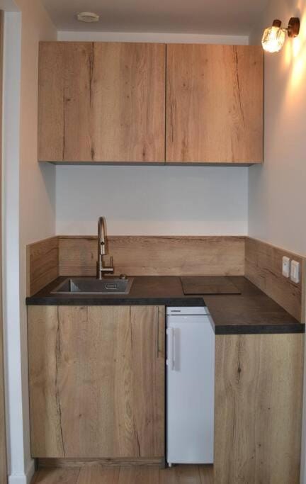 Appartement Le Filaterie sous les toits Apartment in Annecy