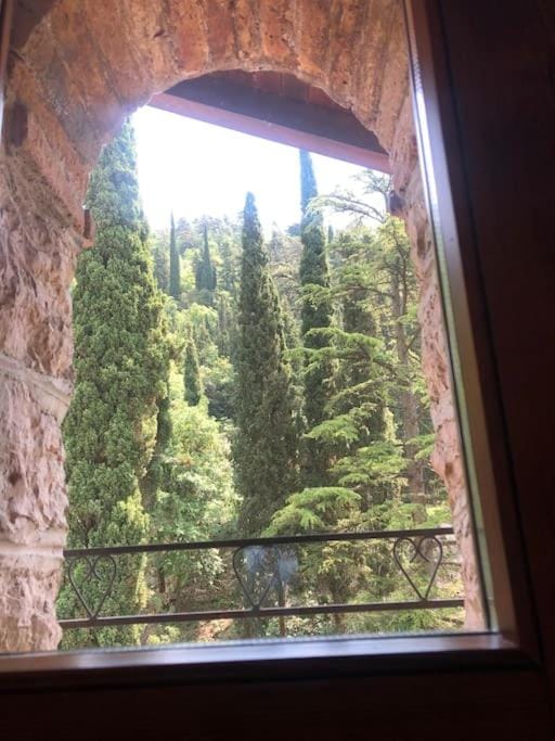 Villa retro'e parco con vista castello House in Arco