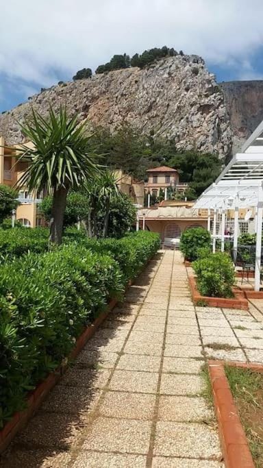 Natural landscape, Garden, Garden view, Mountain view