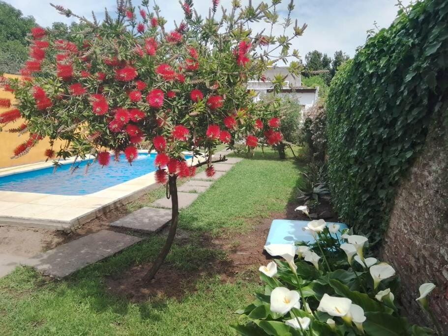 Garden, Garden view