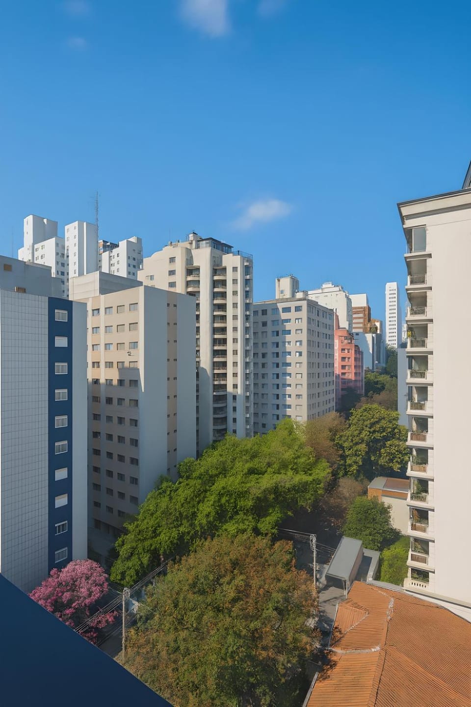 Property building, Day, Balcony/Terrace, City view