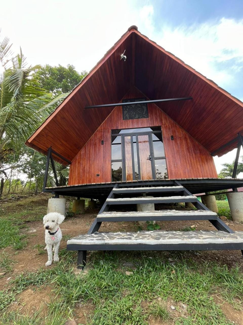 Facade/entrance, Pets, Family
