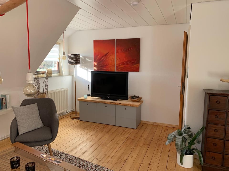 TV and multimedia