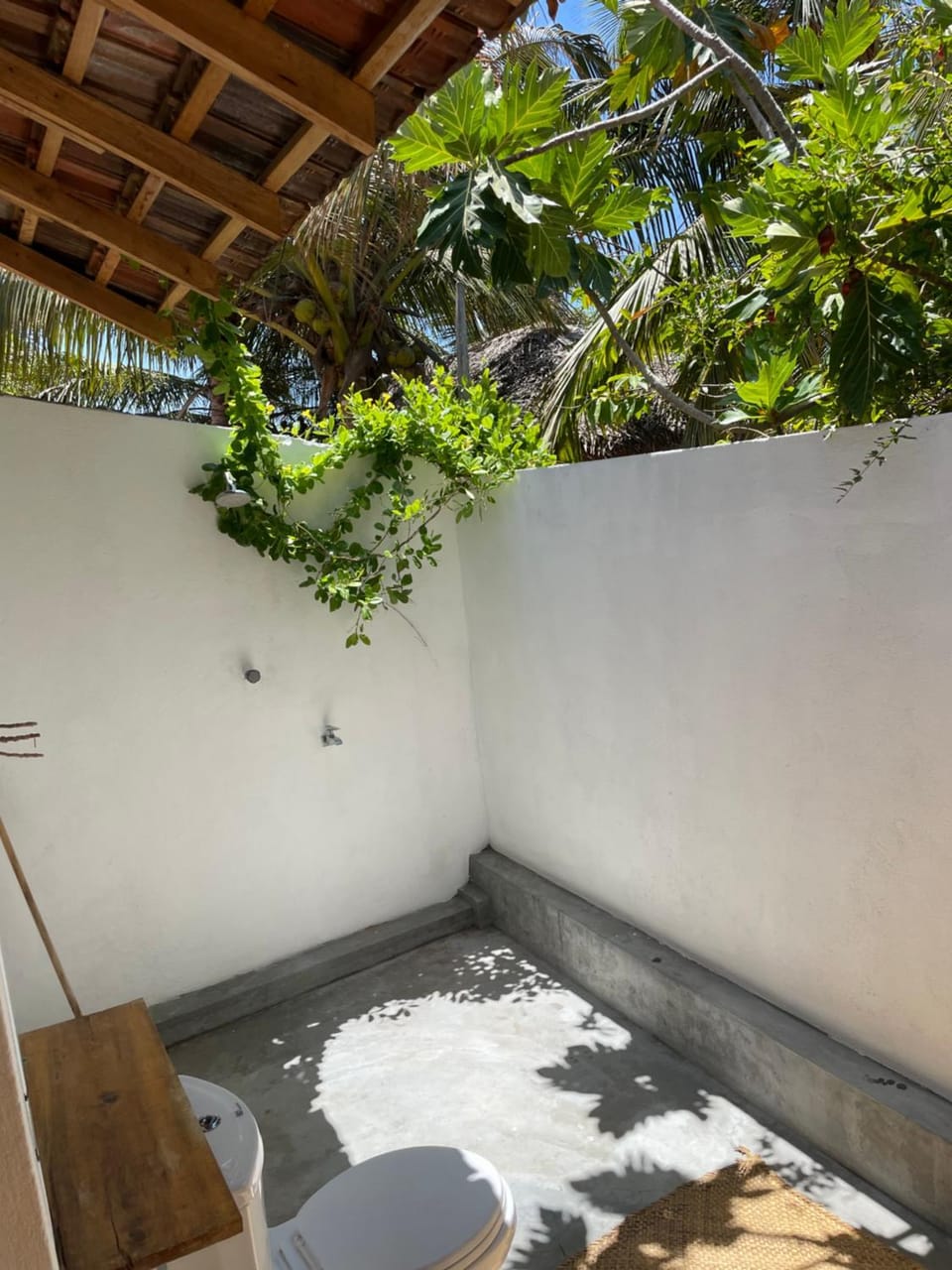 Shower, Toilet, Bathroom, Open Air Bath