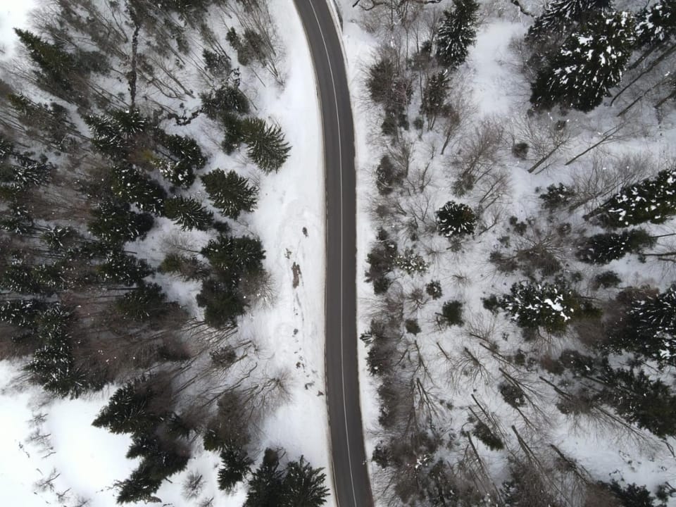 Natural landscape, Winter