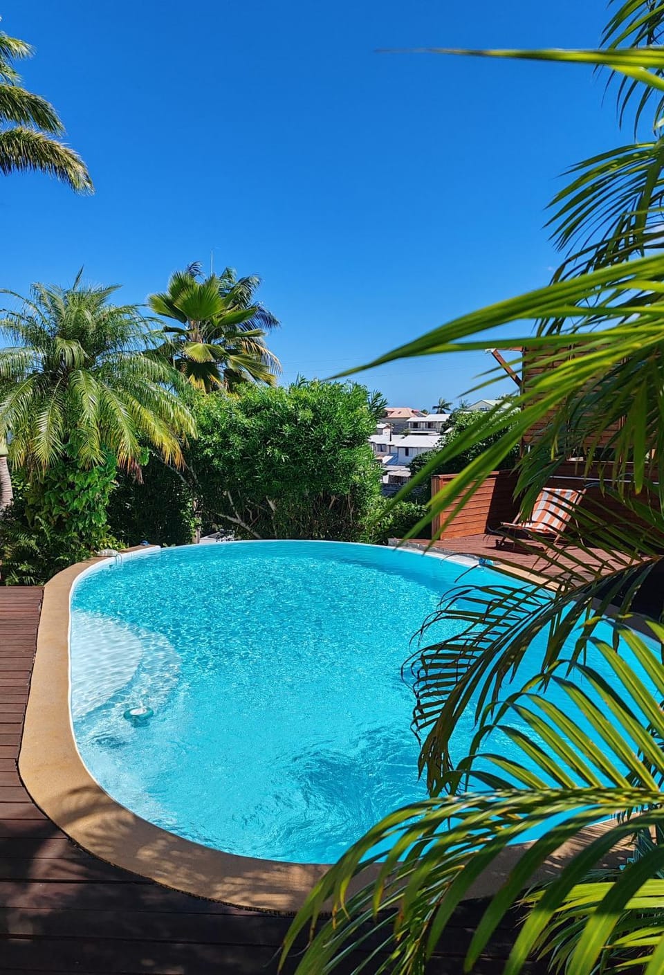 Le vol du Papangue Bed and Breakfast in Réunion